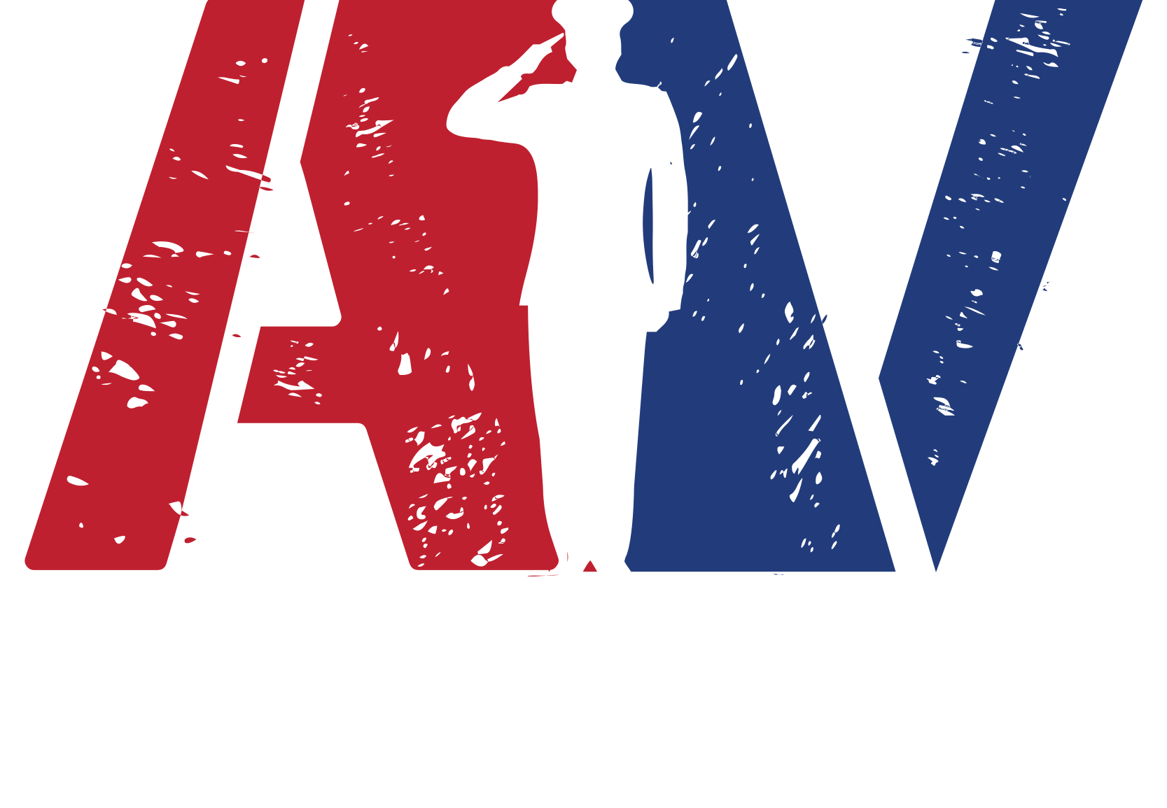 logo AlphaVets York, SC